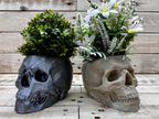 Skull Planter – Edgy Indoor Pot for Succulents & Plants